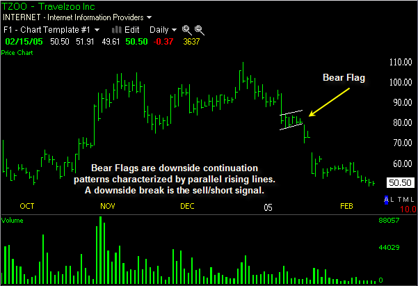 Bear Flag Bear Flag Pattern